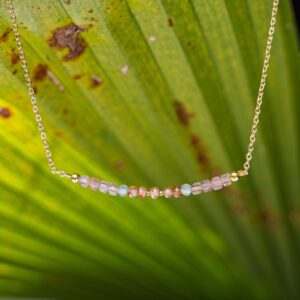 EVARA